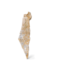 The Guardian | No. 7 of 10